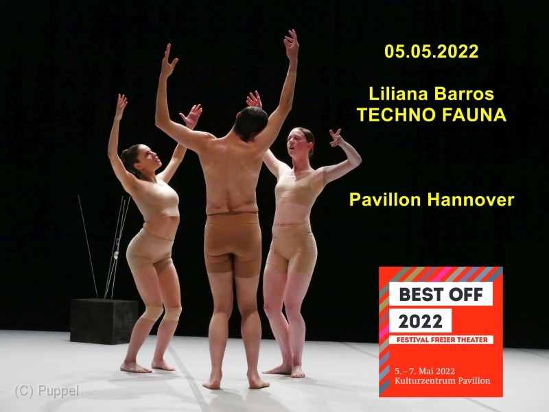 2022/20220505 Pavillon Liliana Barros Techno Fauna/index.html